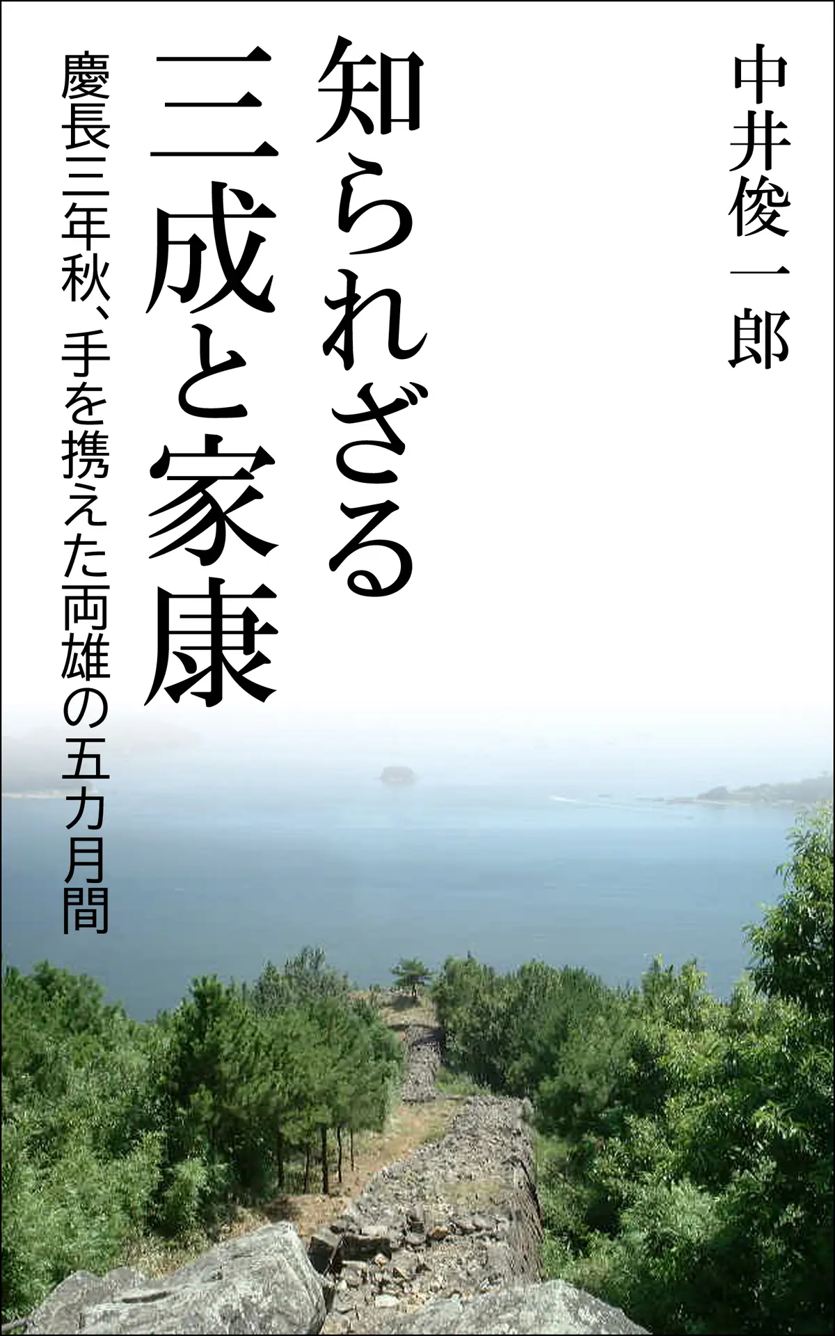 知られざる三成と家康: 慶長三年秋、手を携えた両雄の五カ月間 – 中井俊一郎